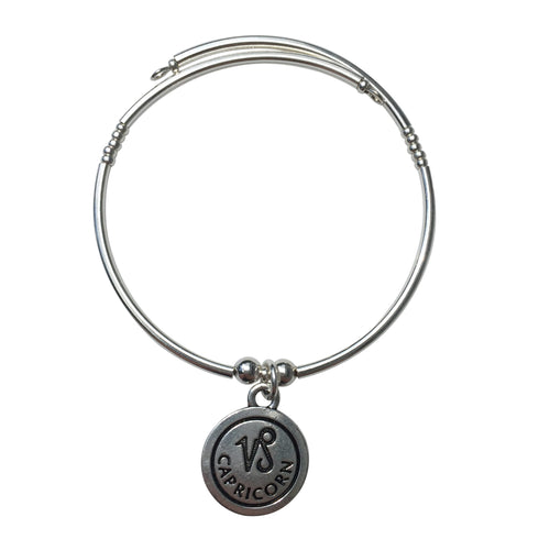 Capricorn Zodiac Charm Bracelet